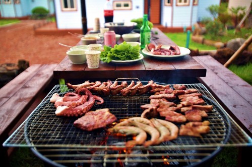 BBQ Party